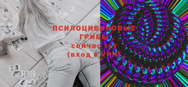 прущая мука Арсеньев