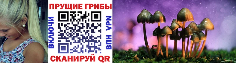 наркота  Пыть-Ях  Галлюциногенные грибы мицелий 
